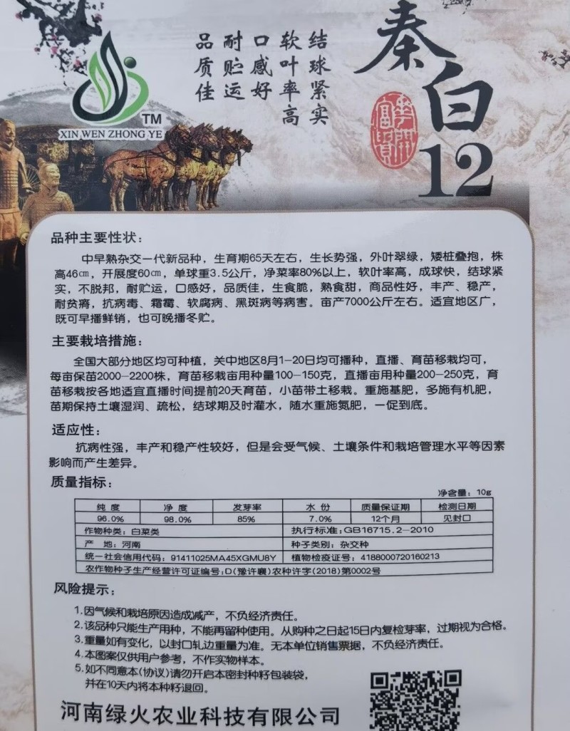 秦白12大白菜种子小包头早熟高产超秦白2号秋播冬储耐寒