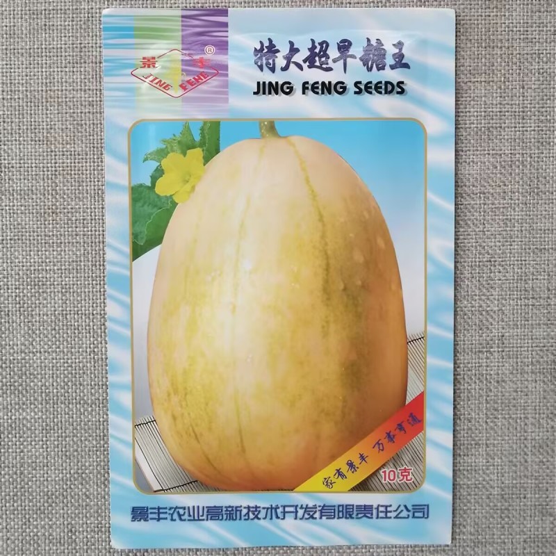 特大超早糖王甜瓜种子甜度高不倒瓤抗病高产早熟甜瓜香瓜种籽
