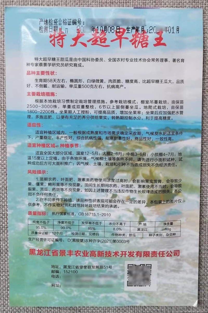 特大超早糖王甜瓜种子甜度高不倒瓤抗病高产早熟甜瓜香瓜种籽