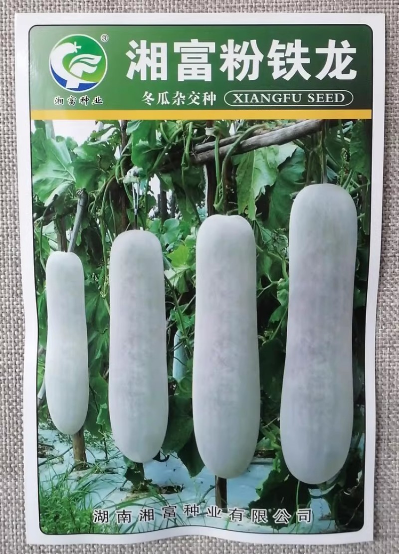 粉铁龙冬瓜种子杂交粉皮炮弹形冬瓜种籽瓜腔小肉质密抗病高产