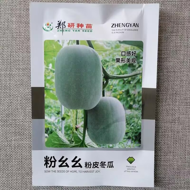 粉皮小冬瓜种子中早熟杂交一代冬瓜种籽果型美观肉厚味鲜抗病
