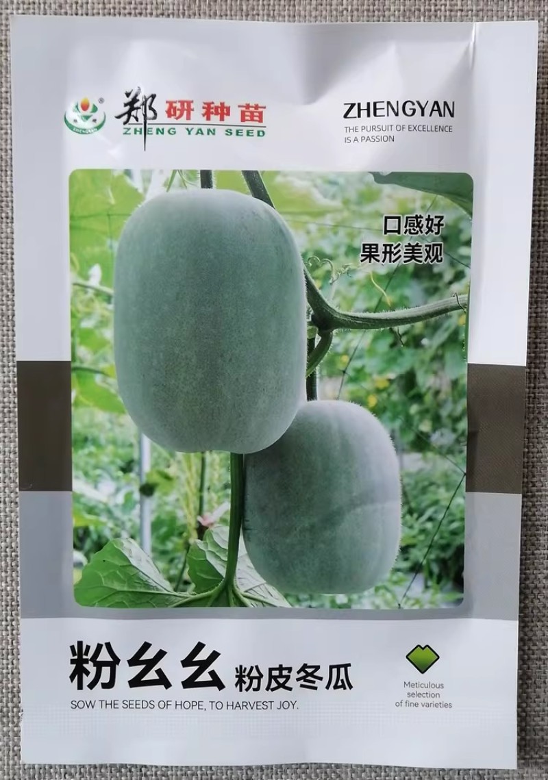 粉皮小冬瓜种子中早熟杂交一代冬瓜种籽果型美观肉厚味鲜抗病