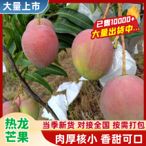 澳芒小奥热龙芒果四川攀枝花原产地代办品质供货