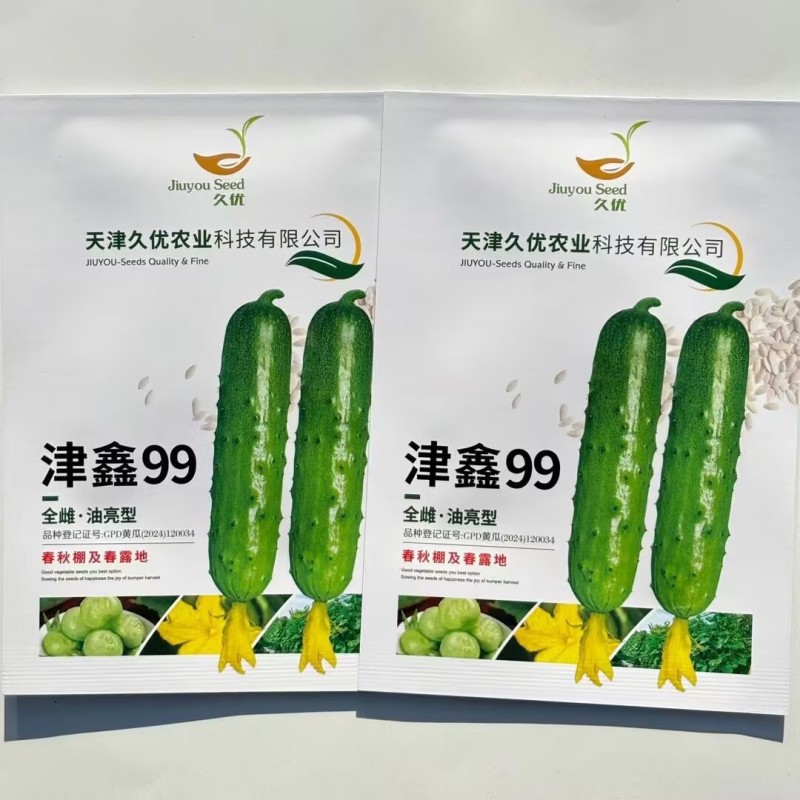 津鑫99强雌油亮型大刺瘤水果黄瓜种子春秋抗病旱黄瓜种子