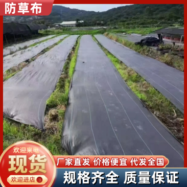除草布防草布盖草布抑草布防草布厂家大棚果园中草药种植用布