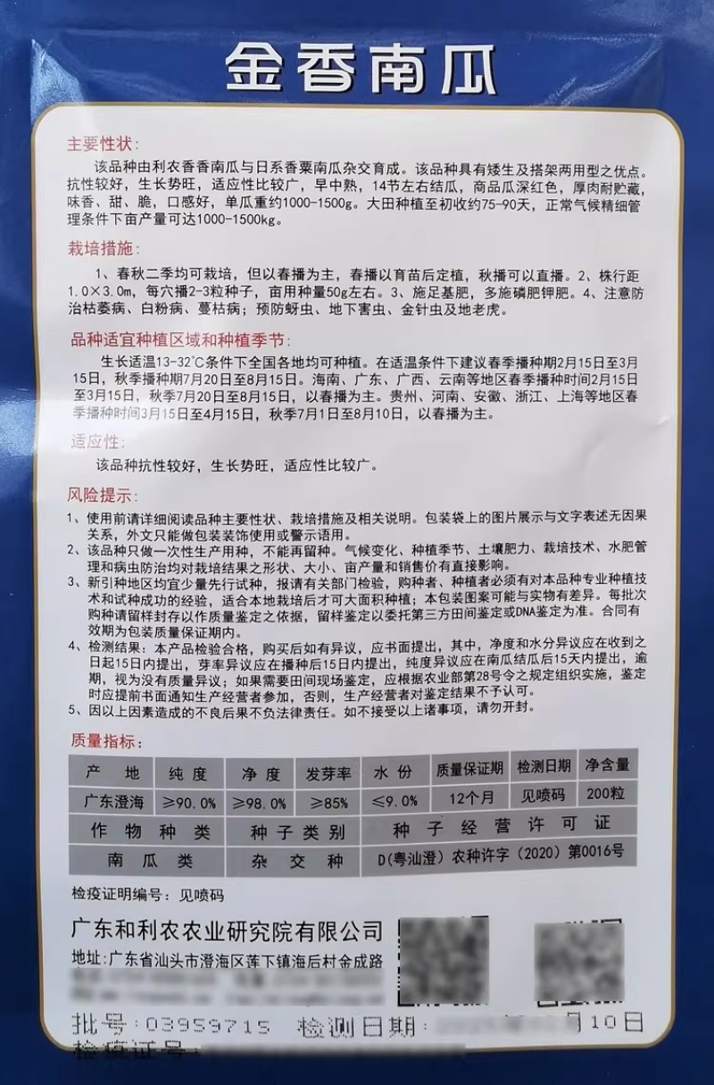 正源金香南瓜种子香甜面高产抗病厚肉板栗香栗南瓜种籽优质