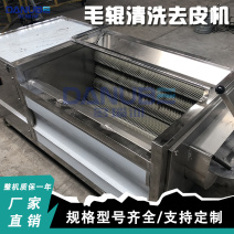 生姜毛辊清洗机土豆去皮机白萝卜红薯毛辊清洗去皮一体机器