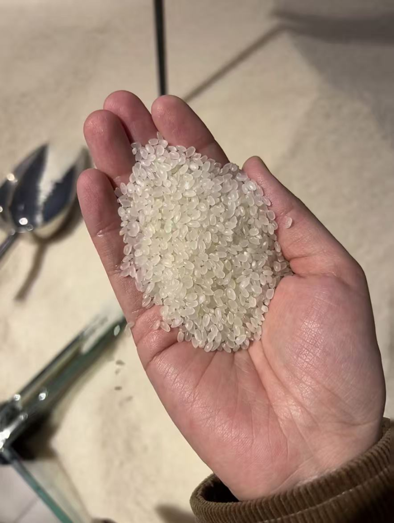 包邮东北珍珠米2025年新米批发餐饮食堂含运费