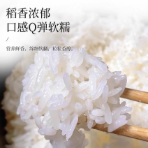 普粳1号米（普优稻花香1号）农户直供现磨新米零售加批发！
