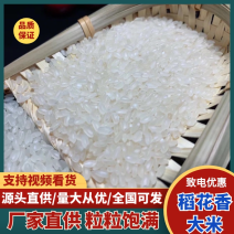 五常稻花香2号香米基地核心产区自产自销诚信经营