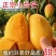 海南芒果台农芒小芒果基地直供实力代发全国商超