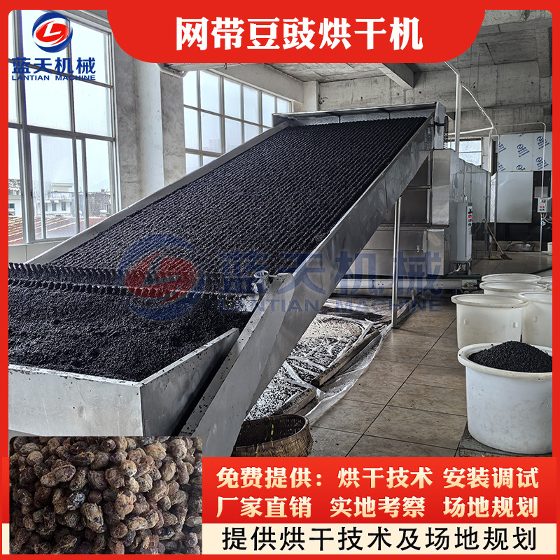网带豆豉烘干机咸豆豉淡豆豉干豆豉烘干设备纳豉豆瓣干燥机