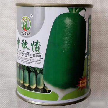 中秋情萝卜种子青皮绿肉萝卜口感细嫩高产耐热夏秋播萝卜种籽