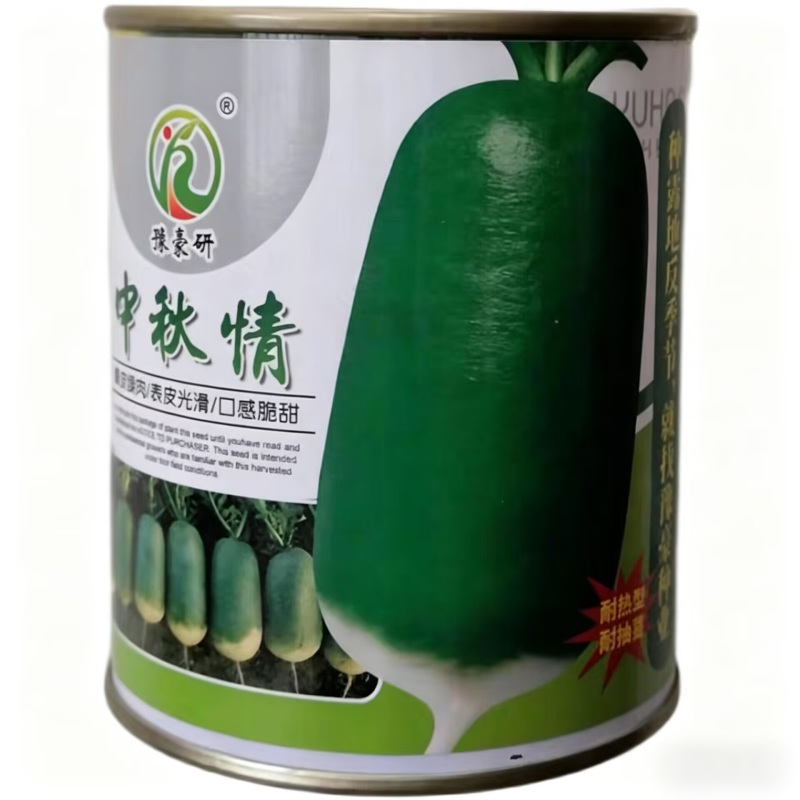 中秋情萝卜种子青皮绿肉萝卜口感细嫩高产耐热夏秋播萝卜种籽