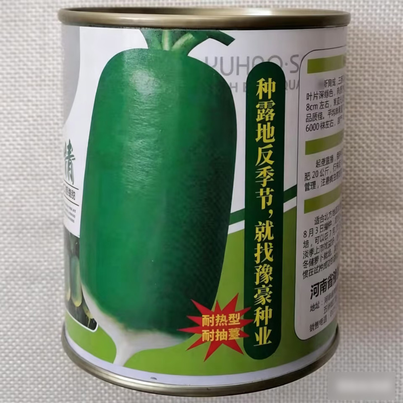 中秋情萝卜种子青皮绿肉萝卜口感细嫩高产耐热夏秋播萝卜种籽