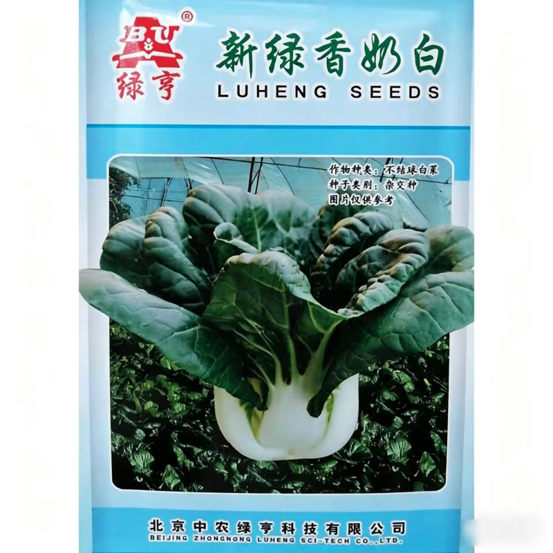 新绿香奶白菜种子杂交高品质小白菜奶油白菜种籽口感柔嫩
