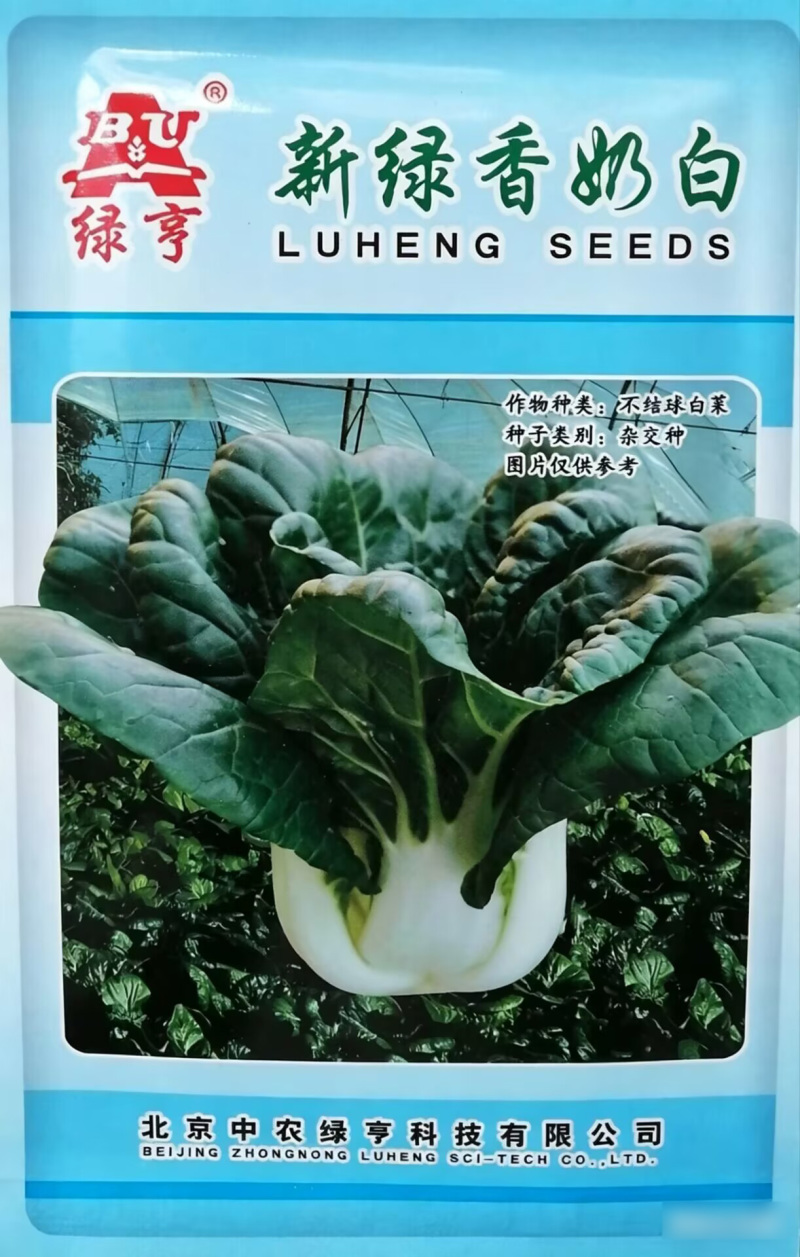 新绿香奶白菜种子杂交高品质小白菜奶油白菜种籽口感柔嫩