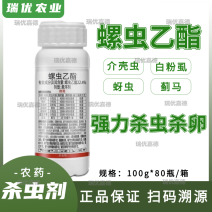 介壳虫专用22.4%螺虫乙酯柑橘梨树蚧壳虫蚜虫专用杀虫杀