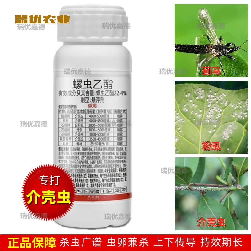 介壳虫专用22.4%螺虫乙酯柑橘梨树蚧壳虫蚜虫专用杀虫杀