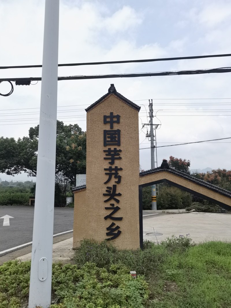 奉化精品芋艿头，产地直发，大量现货，保质保量