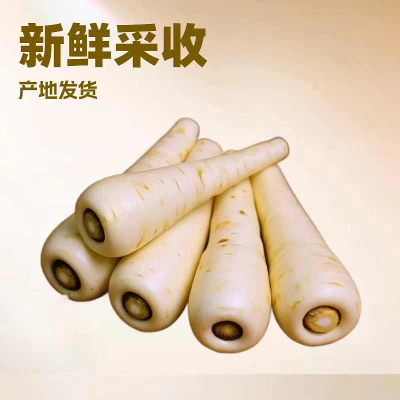 脱水萝卜粒欧防风薯萝卜产地直销量大质优欢迎采购