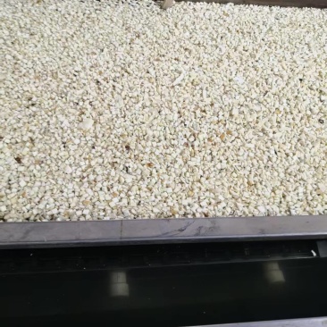 脱水萝卜粒欧防风薯萝卜产地直销量大质优价格优惠