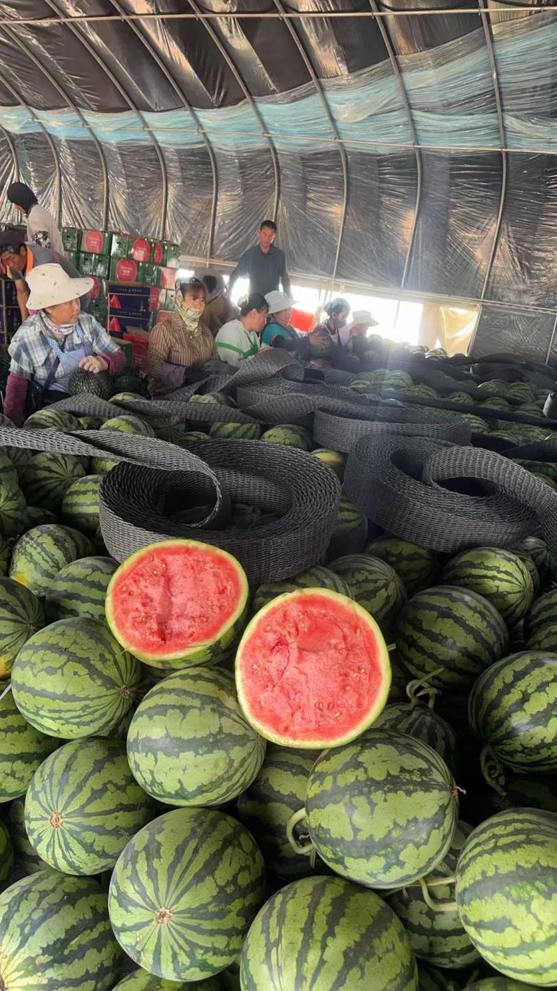 【牛商推荐】精选云南西瓜美都西瓜麒麟西瓜基地直供全国发货