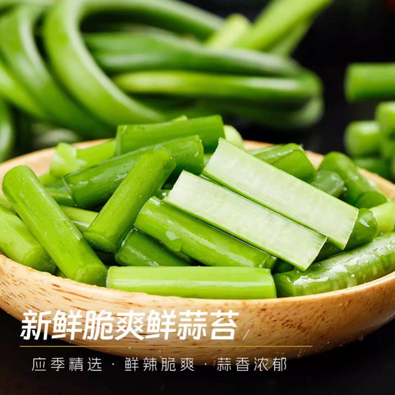 精选蒜薹产地一手货源规格齐全保质保量
