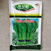 翠绿9号菜心种子中晚熟圆叶菜苔种籽叶片椭圆亮绿茎秆油绿