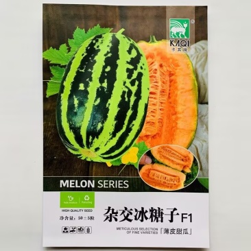 杂交冰糖子甜瓜种子早熟高产抗病薄皮香瓜香甜爽脆甜瓜种籽