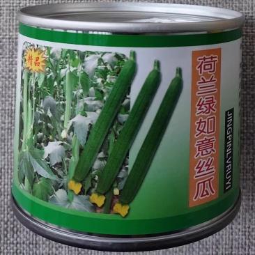 荷兰绿如意丝瓜种子杂交高产丝瓜种籽耐热耐寒抗病瓜条鲜绿