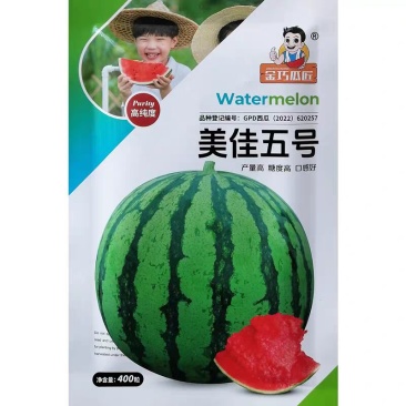 美佳五号二号西瓜种子糖度高脆甜多汁美都西瓜种籽果皮硬耐贮