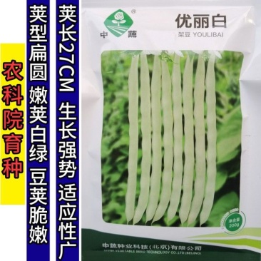 优丽白架豆种子四季豆芸豆九粒白种籽嫩荚扁圆脆嫩豆角菜豆