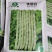 优丽白架豆种子四季豆芸豆九粒白种籽嫩荚扁圆脆嫩豆角菜豆