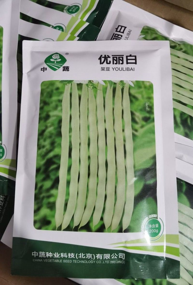 优丽白架豆种子四季豆芸豆九粒白种籽嫩荚扁圆脆嫩豆角菜豆