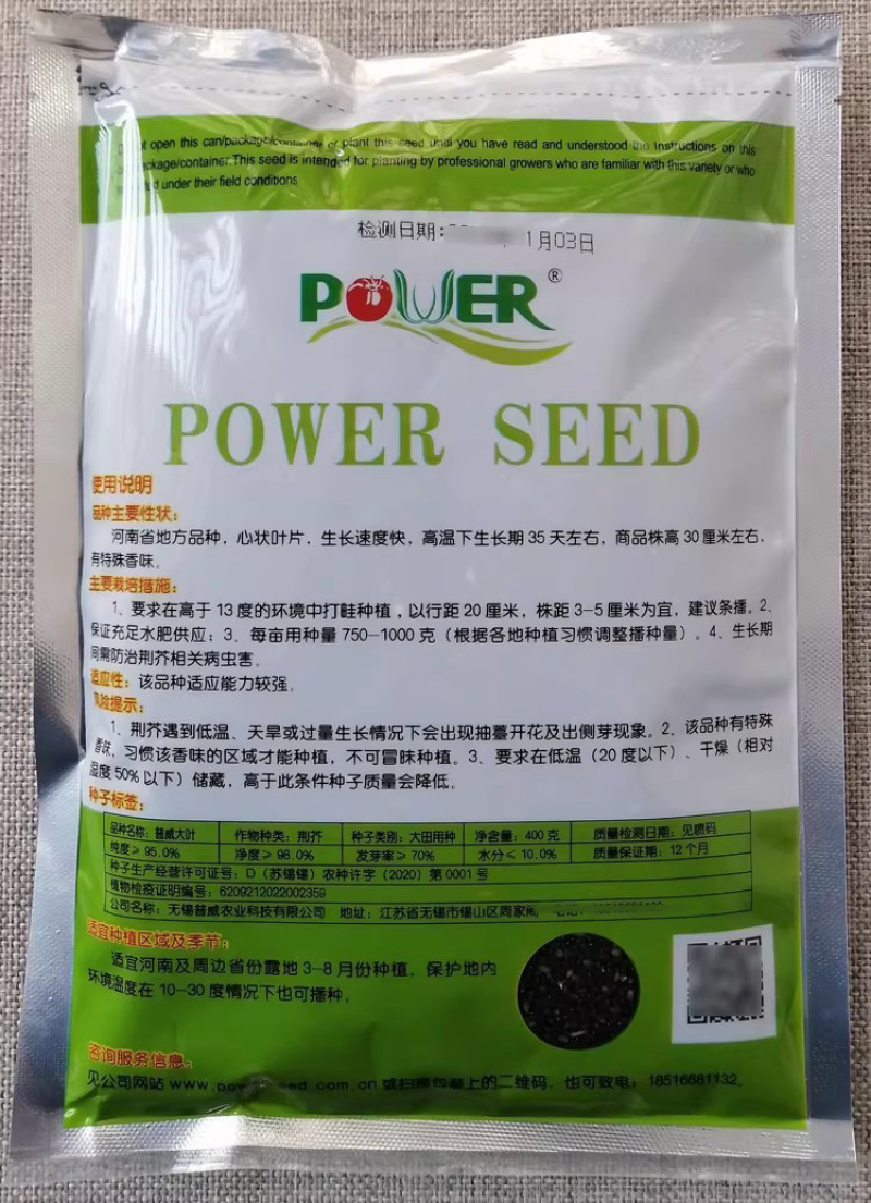河南荆芥种子普威大叶荆芥种籽大田高产荆芥香味浓郁长势快
