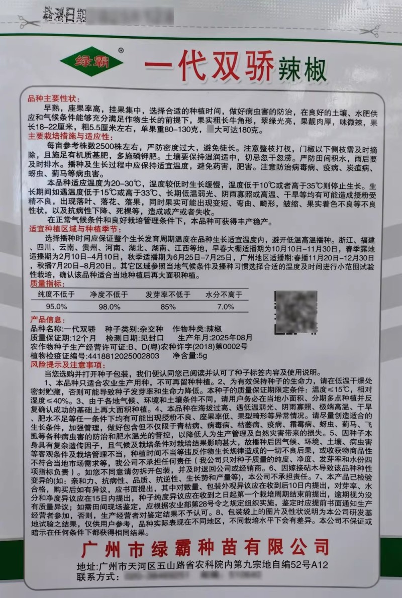 绿霸一代双骄辣椒种子泡椒种子微辣牛角椒翠绿光亮基地种植