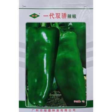 绿霸一代双骄辣椒种子泡椒种子微辣牛角椒翠绿光亮基地种植