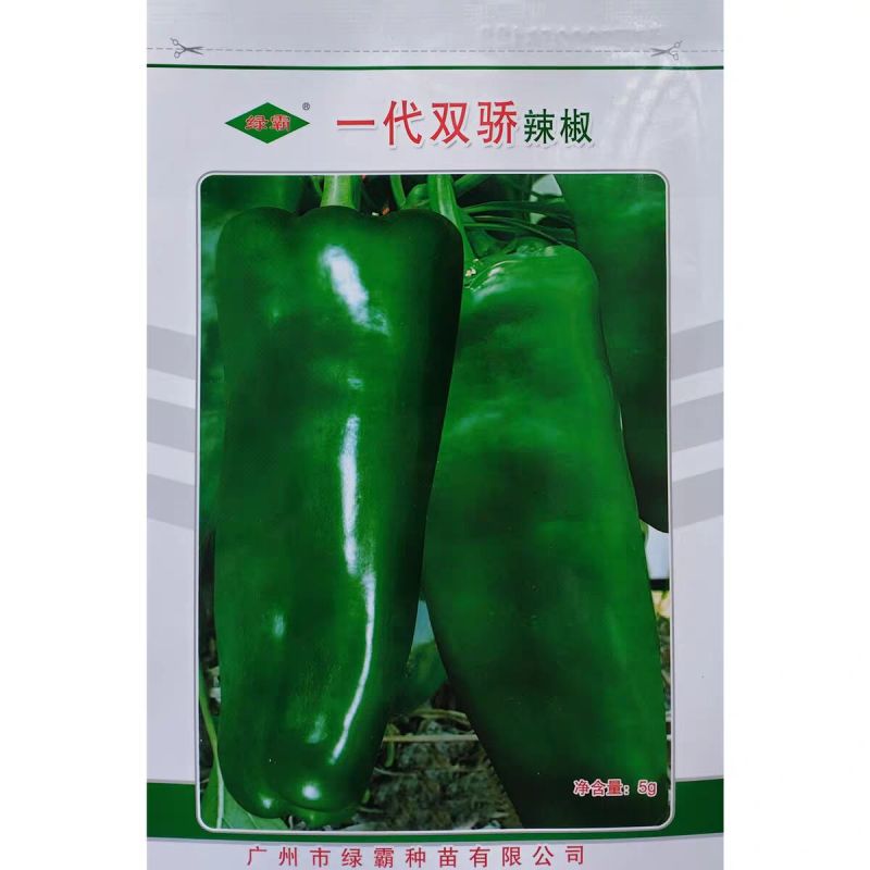 绿霸一代双骄辣椒种子泡椒种子微辣牛角椒翠绿光亮基地种植
