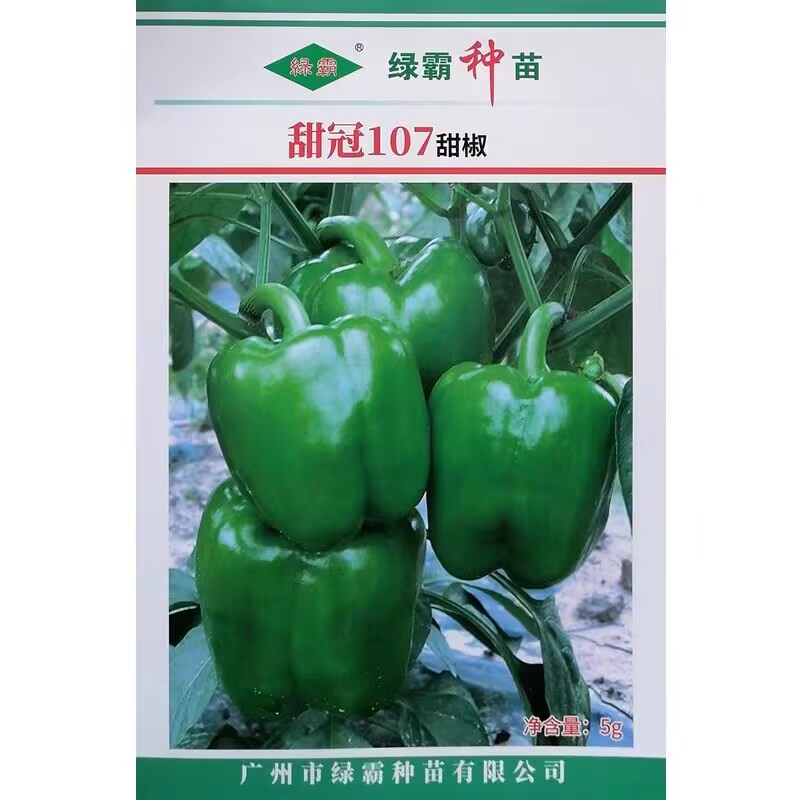 绿霸甜冠107甜椒种子大果甜椒种籽高产灯笼椒肉厚青红两用