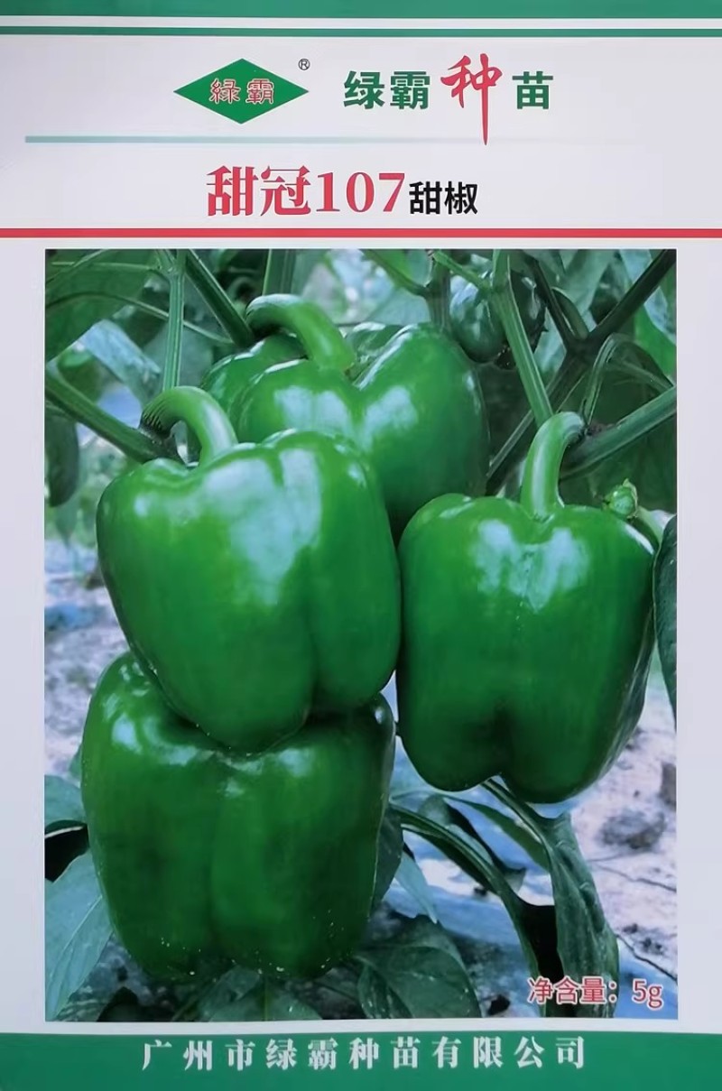 绿霸甜冠107甜椒种子大果甜椒种籽高产灯笼椒肉厚青红两用