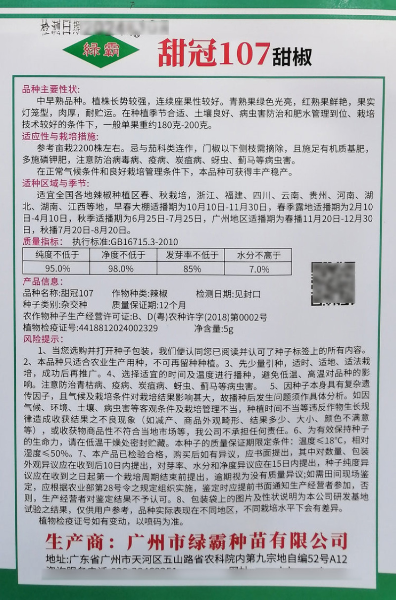 绿霸甜冠107甜椒种子大果甜椒种籽高产灯笼椒肉厚青红两用