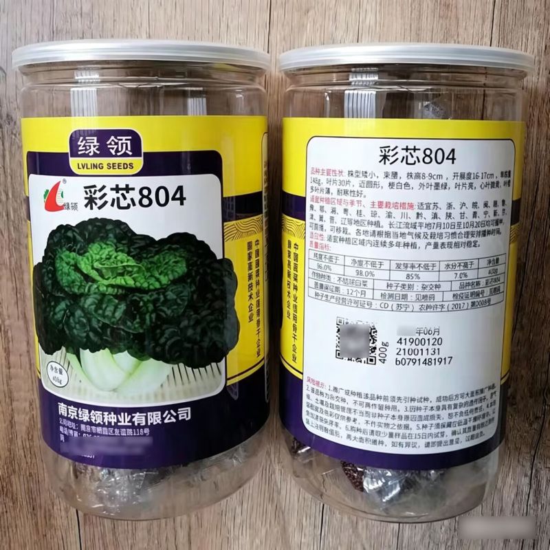 彩芯804乌塌菜种子黄心乌黑心乌种籽耐寒塌地乌矮棵秋冬种