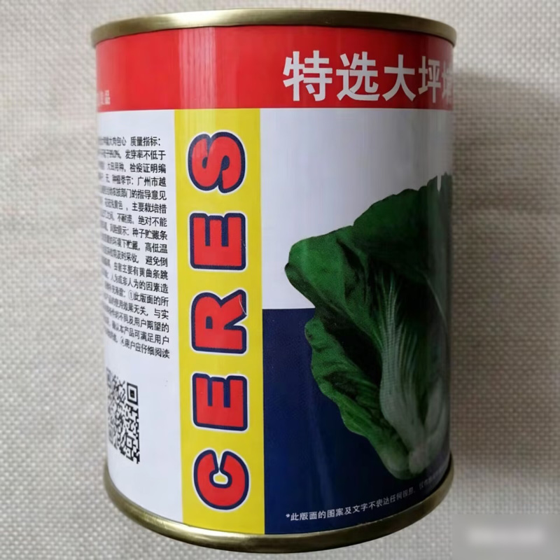 特选大坪埔大肉包心芥菜种子大叶芥菜种籽四季高产包心芥种孑
