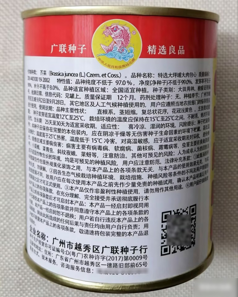 特选大坪埔大肉包心芥菜种子大叶芥菜种籽四季高产包心芥种孑