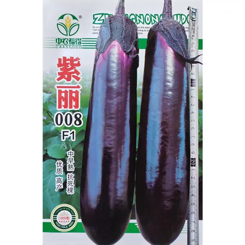 紫丽008紫红长茄种子紫黑光亮茄子种子果肉白绿肉质细嫩