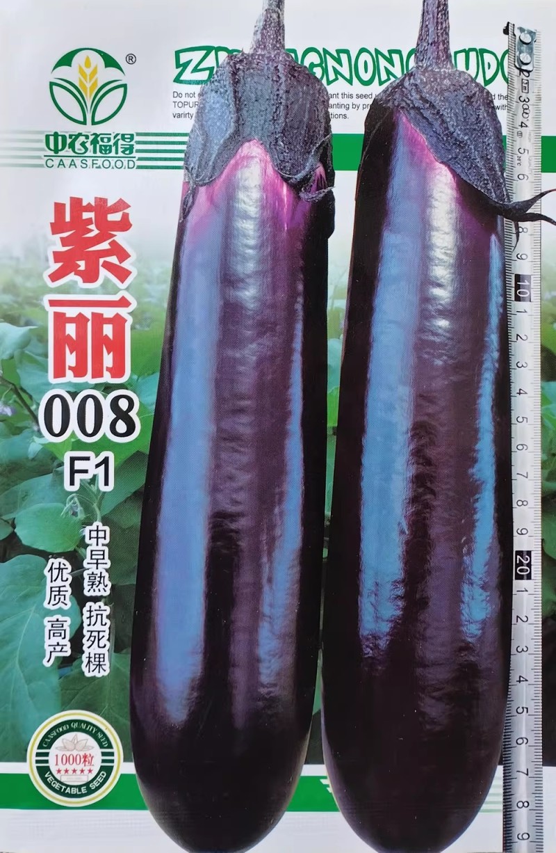 紫丽008紫红长茄种子紫黑光亮茄子种子果肉白绿肉质细嫩