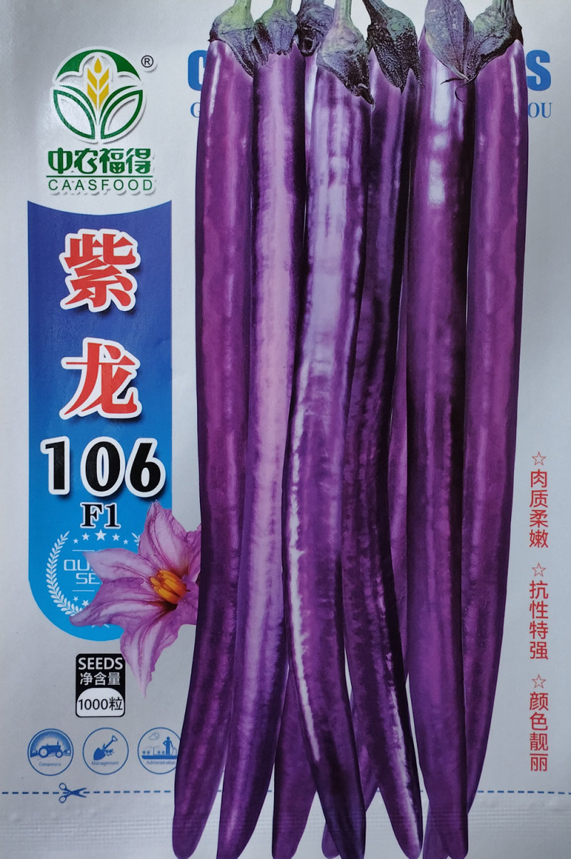 紫龙106紫红长茄种子皮薄肉细果皮深紫结果特强茄子种籽