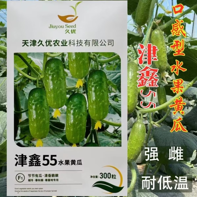津鑫55水果黄瓜种子短粗型强雌绿肉口感甜脆短把耐寒春秋种