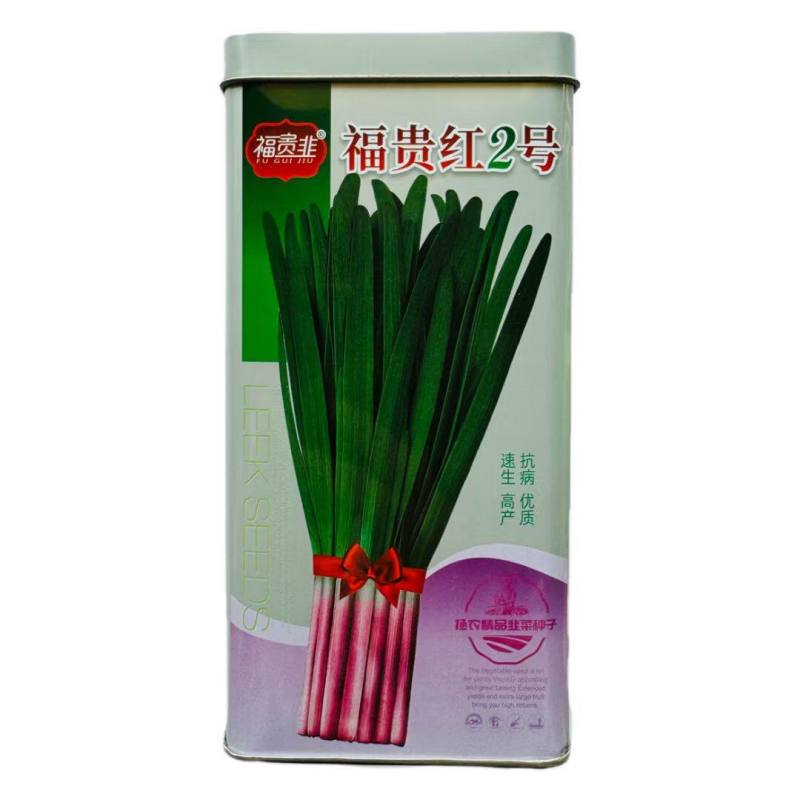 福贵红2号红根韭菜种子厚叶休眠红根韭菜露地早春小拱棚韭菜